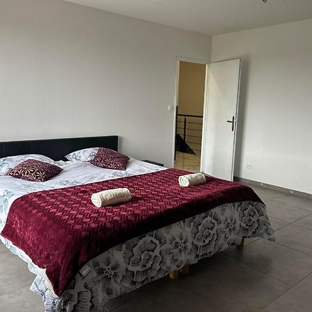 Magnifique Villa Avec Piscine Beaujolais Gleize Luaran gambar